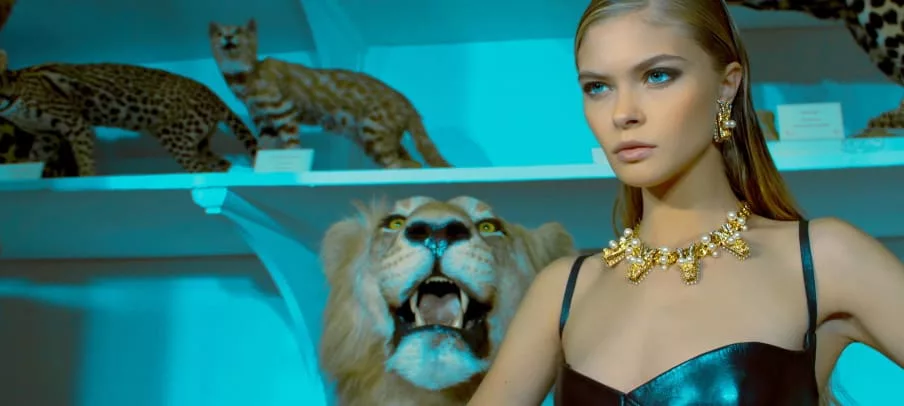 Bijoux mode, la tendance animale !